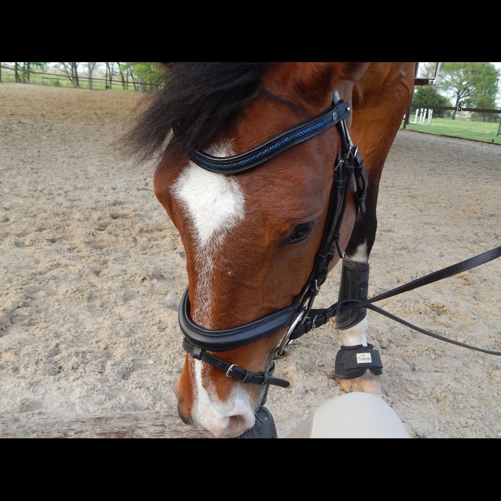 Meet your Posher, Isabela